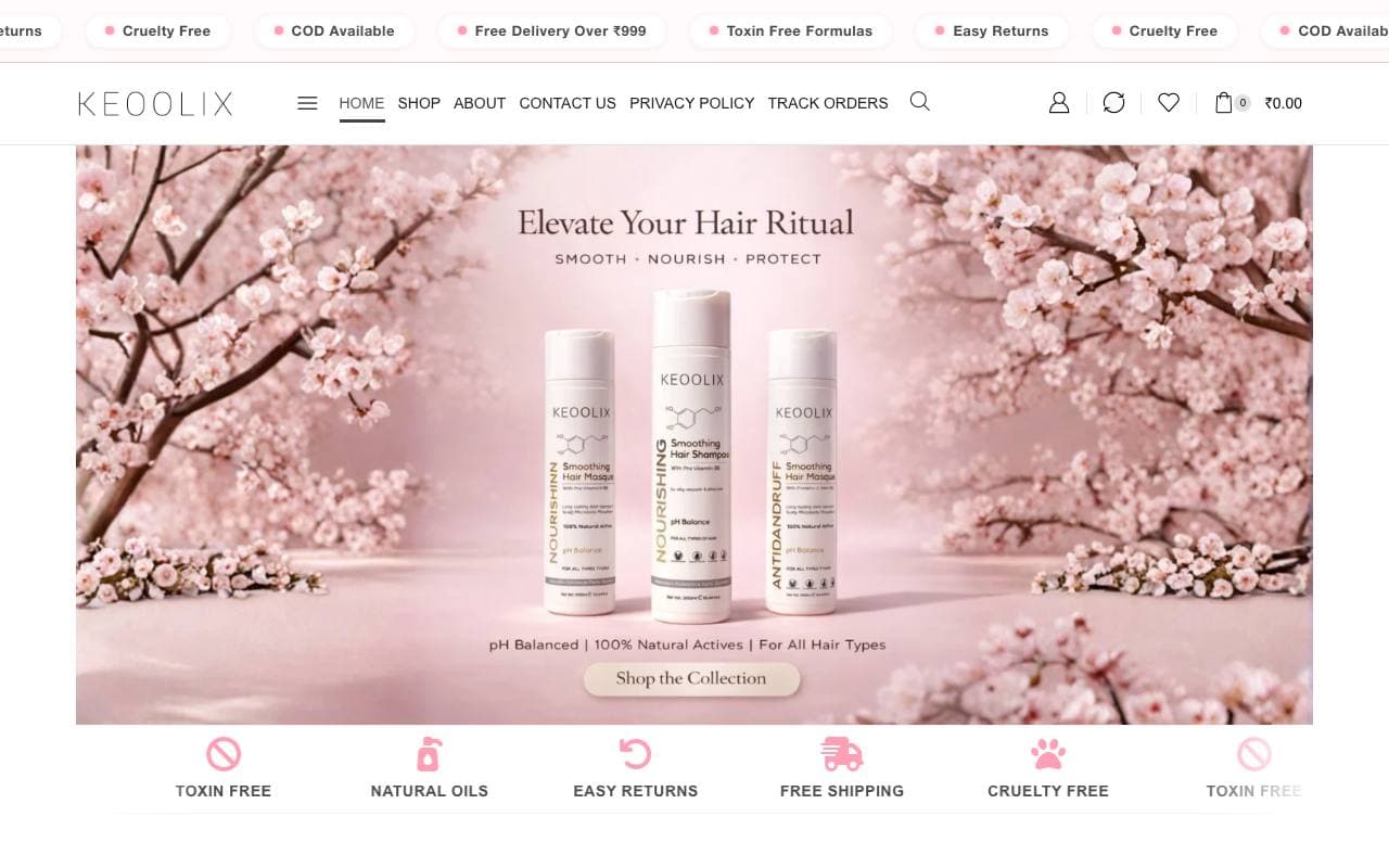 Keoolix — website delivered by NextGen Fusion